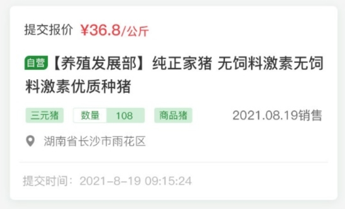 白塔云邁科技生豬競價(jià)系統(tǒng)：開啟生豬交易新時(shí)代?